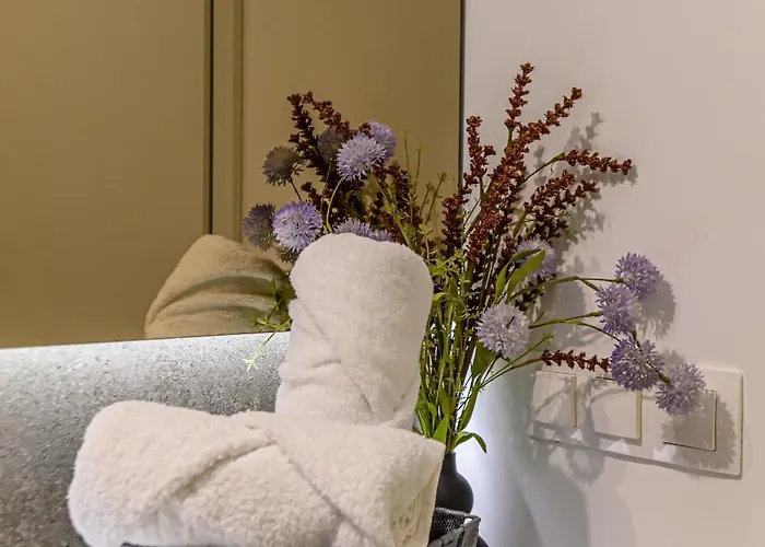 Mohost Balance - Complex Qualis * Brasov