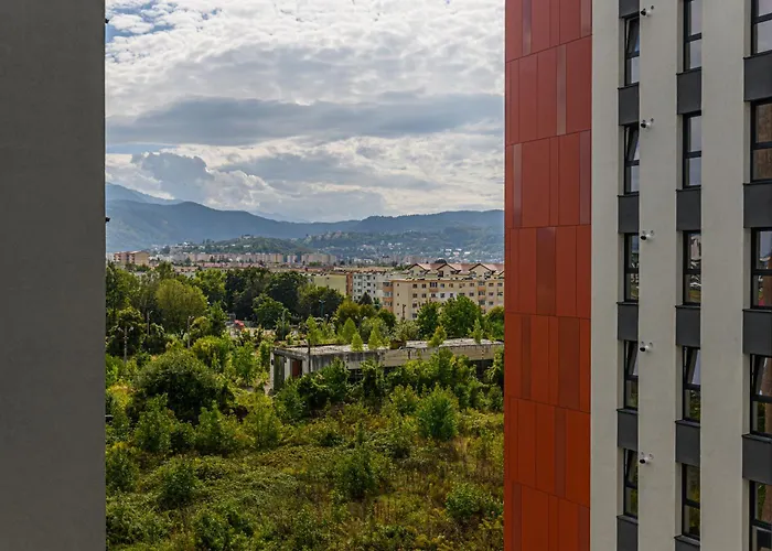 Mohost Balance - Complex Qualis *