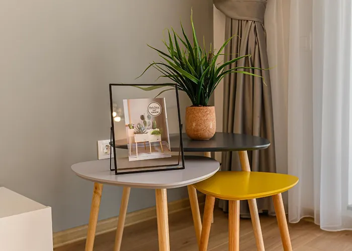 Mohost Balance - Complex Qualis * Brasov