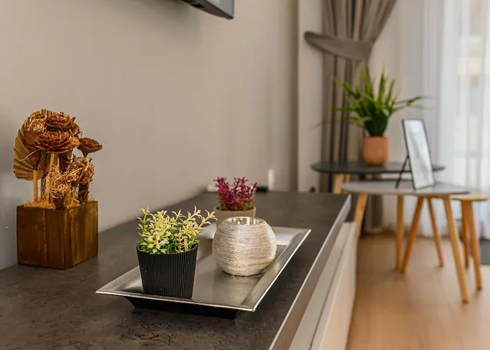 Apartment Mohost Balance - Complex Qualis Brasov